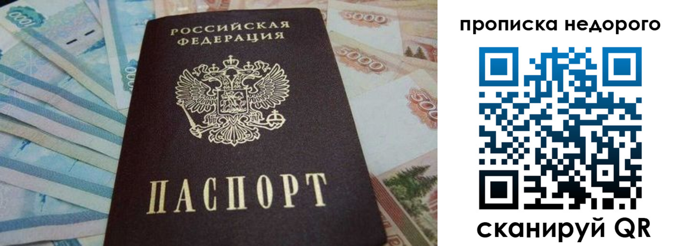 временная регистрация поиск в Павловске