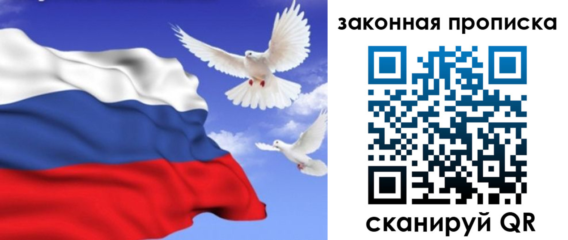 регистрация в Павловске